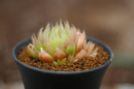 㽭:ɧŵ绰ռ 110ܽӾĳΪЧ