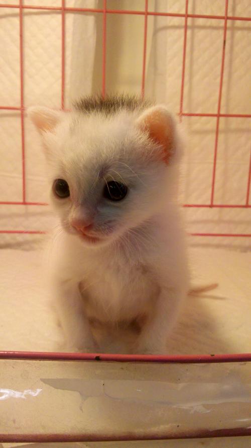 籩Ϯ ½߷ٳÿСʱ100